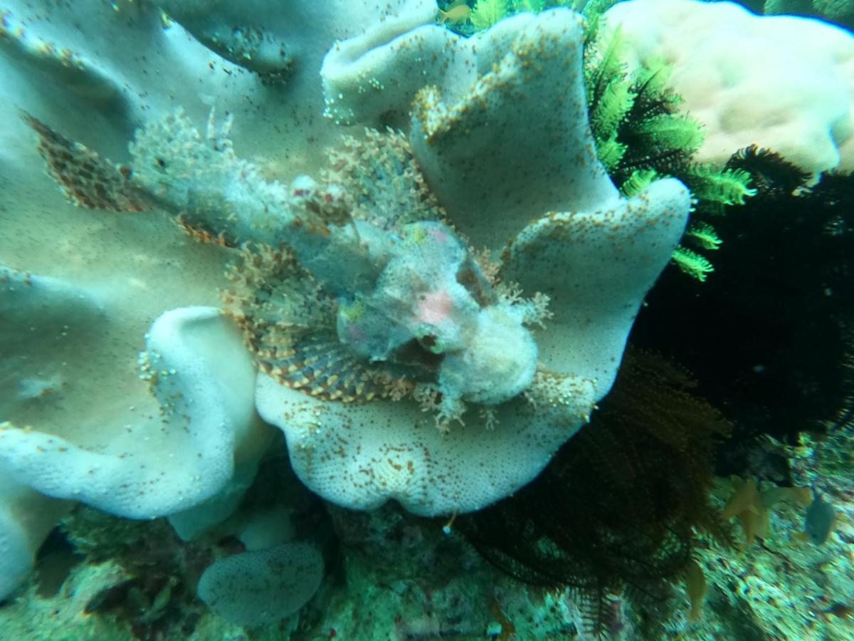 Cabilao Sunset Dive & Beach Resort Loon Kültér fotó